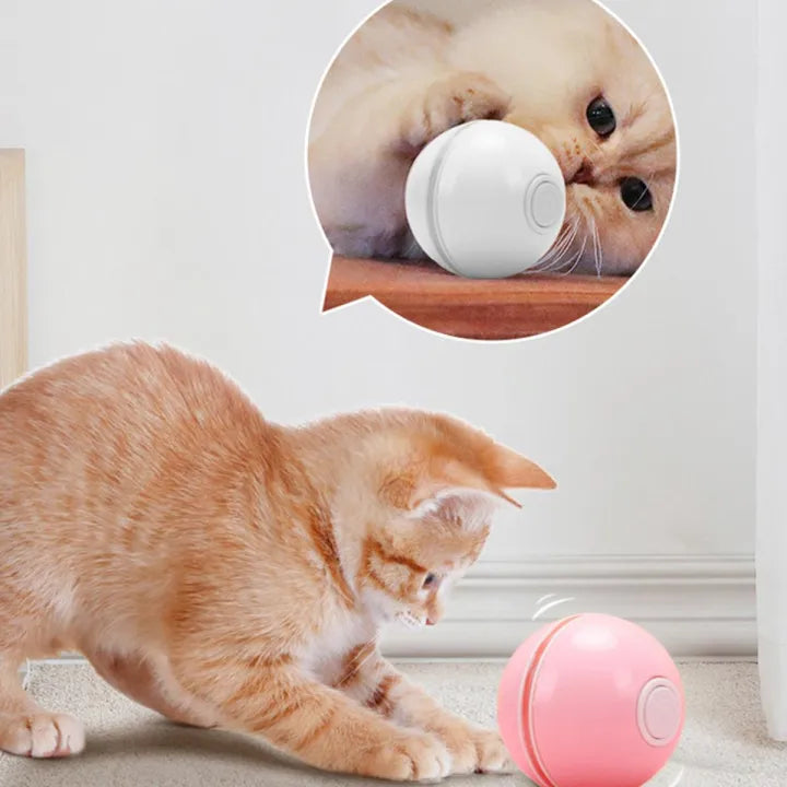 PawSphere™ Smart Interactive LED Cat Ball